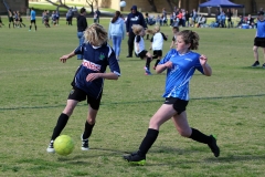 IMG_9262